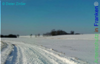 Bild zum Eintrag (1137938-177)