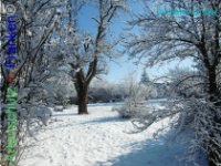 Bild zum Eintrag (1137940-177)