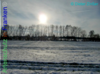 Bild zum Eintrag (1137942-177)