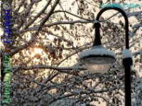 Bild zum Eintrag (1137943-177)