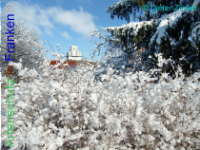 Bild zum Eintrag (1137946-177)