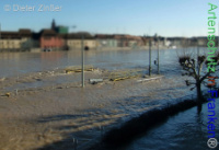 Bild zum Eintrag (1138068-177)