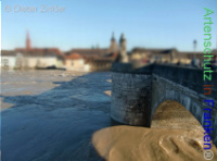 Bild zum Eintrag (1138069-177)