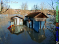 Bild zum Eintrag (1138071-177)