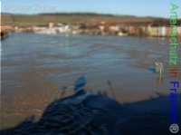 Bild zum Eintrag (1138073-177)