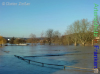 Bild zum Eintrag (1138078-177)