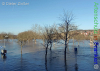 Bild zum Eintrag (1138079-177)