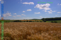 Bild zum Eintrag (1138152-177)