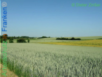 Bild zum Eintrag (1138157-177)