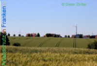 Bild zum Eintrag (1138159-177)