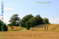 Bild zum Eintrag (1138167-177)