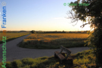 Bild zum Eintrag (1138168-177)