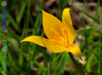 Bild zum Eintrag (1140307-177)