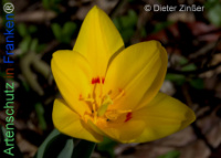 Bild zum Eintrag (1140308-177)