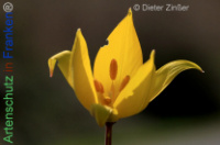 Bild zum Eintrag (1140310-177)