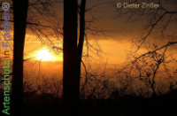 Bild zum Eintrag (1141066-177)