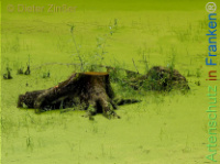 Bild zum Eintrag (1142290-177)