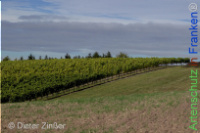 Bild zum Eintrag (1142593-177)