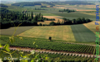 Bild zum Eintrag (1142594-177)