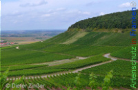 Bild zum Eintrag (1142596-177)
