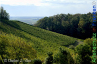 Bild zum Eintrag (1142598-177)