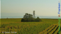 Bild zum Eintrag (1142601-177)