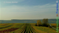 Bild zum Eintrag (1142602-177)