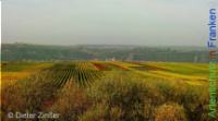 Bild zum Eintrag (1142603-177)