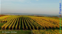 Bild zum Eintrag (1142605-177)