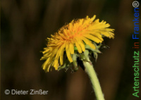 Bild zum Eintrag (1142688-177)