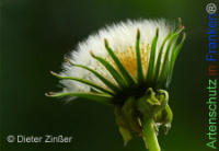 Bild zum Eintrag (1142695-177)