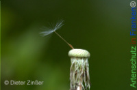 Bild zum Eintrag (1142701-177)