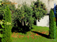 Bild zum Eintrag (1142944-177)