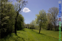 Bild zum Eintrag (1143787-177)