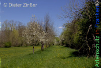 Bild zum Eintrag (1143788-177)