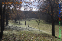 Bild zum Eintrag (1143791-177)