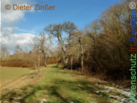Bild zum Eintrag (1143792-177)