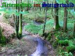 Bild zum Eintrag (905061-177)