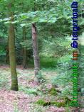 Bild zum Eintrag (905074-177)