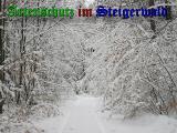 Bild zum Eintrag (905078-177)