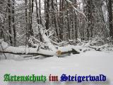 Bild zum Eintrag (905084-177)