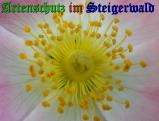 Bild zum Eintrag (905316-177)