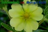 Bild zum Eintrag (905339-177)