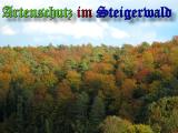 Bild zum Eintrag (905490-177)