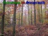 Bild zum Eintrag (905504-177)