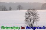 Bild zum Eintrag (905535-177)