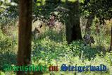 Bild zum Eintrag (905689-177)