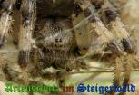 Bild zum Eintrag (905808-177)