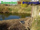 Bild zum Eintrag (906630-177)