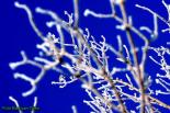 Bild zum Eintrag (906731-177)